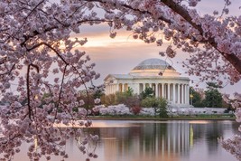 Beautiful Thomas Jefferson Memorial Washington Dc 8X10 Photo - £7.16 GBP