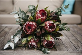 20 Seeds Mixed Fresh Protea Cynaroides,DIY Succulent Seeds - £23.75 GBP