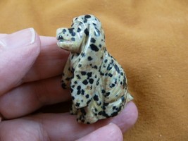 (Y-DOG-CS-565) spotted Jasper COCKER SPANIEL dog gemstone gem carving sh... - £10.99 GBP