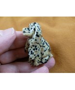 (Y-DOG-CS-565) spotted Jasper COCKER SPANIEL dog gemstone gem carving sh... - £11.16 GBP