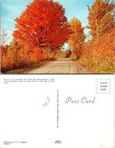 New York(NY) Adirondack Mountain Dirt Road in Autumn Fall Trees VTG Postcard - £7.44 GBP