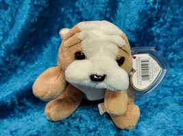 Rare Retired 1996 Ty Beanie Baby &quot;Wrinkles&quot; w/ PVC pellets/Tag Errors: S... - €1,70 EUR
