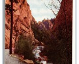 Cheynne Canyon Pikes Peak Colorado CO UNP Unused DB Postcard M17 - $2.63