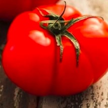 50 Heirloom Beefsteak Tomato Seeds Juicy, Non-GMO,Premium Garden Vegetab... - $254.60 MXN