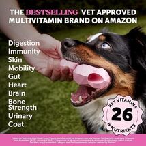10-in-1 Dog Multivitamin Supplement with Glucosamine &amp; Probiotics - Hip ... - $51.13