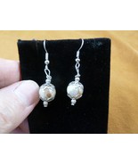 DP1-15k REAL DINOSAUR POOP 10mm bead dangle EARRINGS Utah ancient Dino C... - $16.99