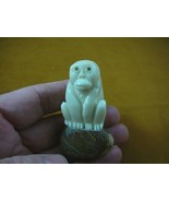 (tne-ape-go-42b) white Gorilla monkey ape TAGUA NUT palm nuts figurine c... - $367.28 MXN