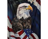 USA Eagle Flag Metal Print, USA Eagle Flag Metal Poster - $11.90