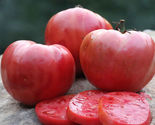 50 Seeds Perfectly Pink Tomato Vegetable Garden - £7.81 GBP