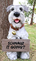 Adorable Grey Schnauzer Dog Sitting With Jingle Collar Greetings Sign St... - $54.99