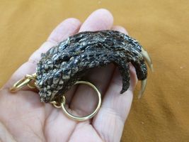 (G120-176) 3" long Gator FOOT Keychain PAW ALLIGATOR TAXIDERMY med claw ... - $18.99