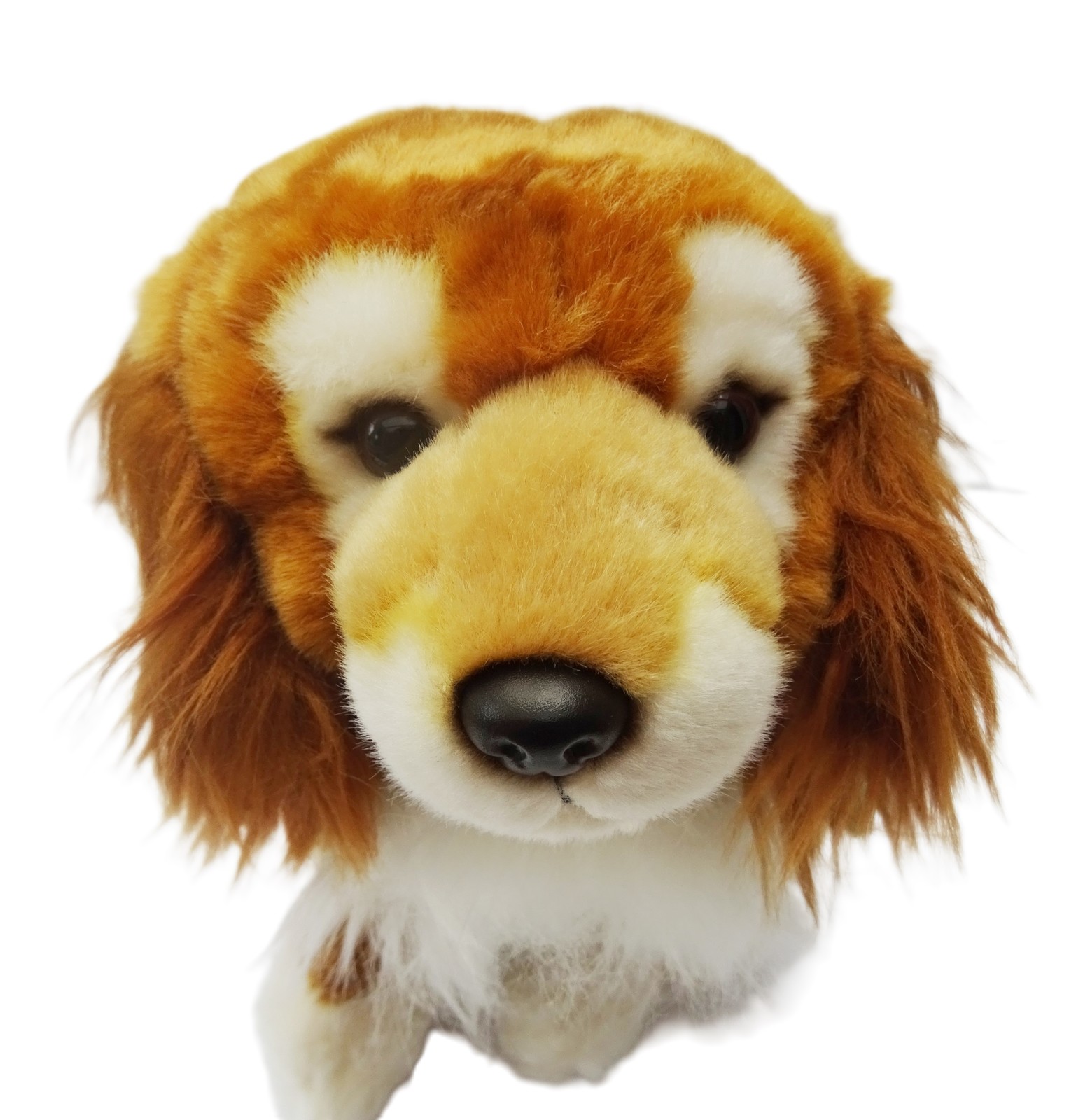 Primary image for Dorgi 12" plushie as it is, gift wrapped, with personalised tag or not
