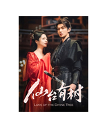 Love of the Divine Tree (2025) Chinese Drama - €67,27 EUR