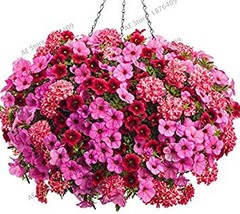 100PCS Hanging Petunia Flores Melissa Original Flower plantas Perennial ... - £7.82 GBP