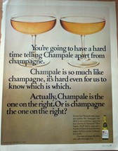Champale Or Is It Champagne Print Magazine Advertisement 1968 - $2.99