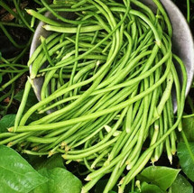 White Yard Long Bean Seeds Usa Chinese Green Beans Cowpea Fresh Asian Seed  - £4.67 GBP
