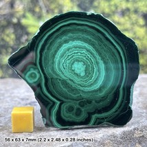 Stunning malachite slices from congo - nature&#39;s green masterpieces! - $36.64