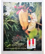VICEROY Cigarettes Filtered - Gardens-Couple-Floral-1971 Vintage Print Ad - $198.83 MXN