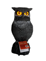 Animated Turning Head Owl Hoots Eyes Light Up Motion Sensor Halloween De... - £42.42 GBP