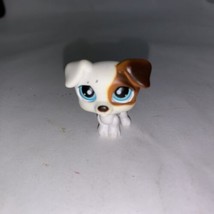 Littlest Pet Shop~#151~Jack Russell~Dog~White Brown~Spots~Blue Eyes~Red Magnet. - £11.03 GBP