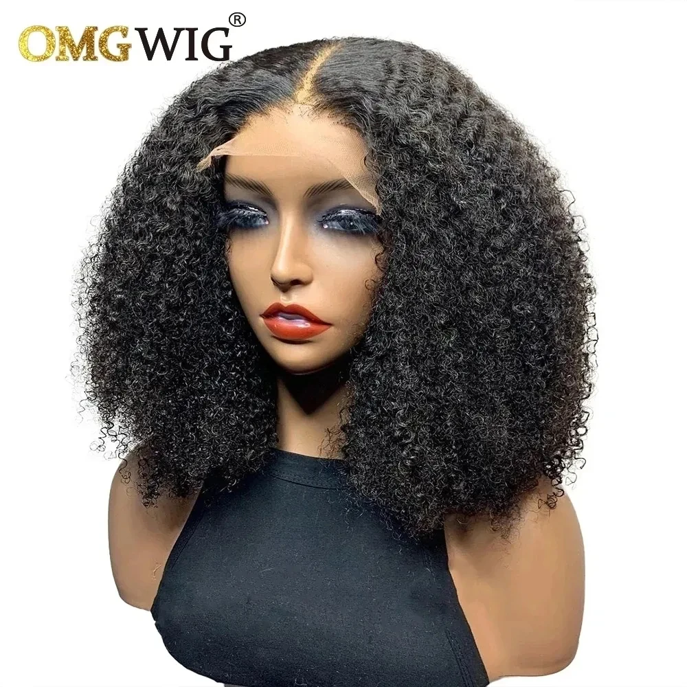 13x6 Lace Frontal Wig Human Hair Afro Kinky Curly Brazilian Remy Hair 13x4 La - £75.72 GBP+
