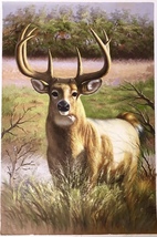 Deer on the Grassland Handmade Oil Painting Unmounted Canvas 24x36 inches - $500.00