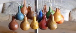 10 Heirloom Miniature Tennessee Dancing Spinner Gourd Cucurbita Pepo Seeds - $9.92