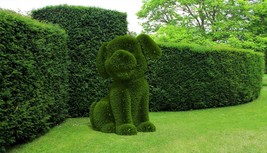 Outdoor Animal Cartoon Dog Topiary Green Figures Covered in Artificial G... - £2,791.28 GBP