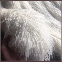 Luxury White or Pink Long Hair Mongolian Sheep Faux Fur Medium Long Coat Jacket image 3