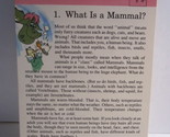 1978 Walt Disney&#39;s Fun &amp; Facts Flashcard #DDF1-1: What is a Mammal? - $2.00