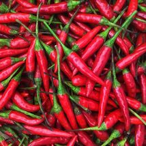 Thai Hot Pepper 30 Seeds - £5.56 GBP