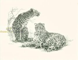 #152 two (2) LEOPARDS wild life art print done by Jan Jellins * pen &amp; ink - $12.50
