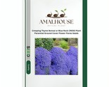 Creeping Thyme or Blue Rock CRESS Plant Ground Cover Flower Flores - 500... - $13.90