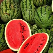 5 Citrullus lanatus Jubilee Improved Watermelon Seeds - £4.30 GBP