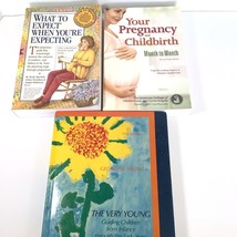 Lot of 3 Books on Pregnancy, Childbirth, and Parenting Young Children Ch... - £9.24 GBP