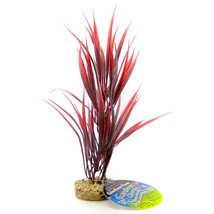 Blue Ribbon Sword Plant with Gravel Base Red 10&quot; tall Blue Ribbon Sword Plant wi - £13.31 GBP
