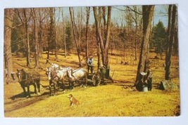 Postcard Near The End Of The Run Vermont Maple Sugar Orchard Late Spring Horses - $9.54