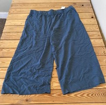 Haven Well Within NWT Women’s Wide Leg Pants Size 2XL Blue L1 - £43.36 GBP