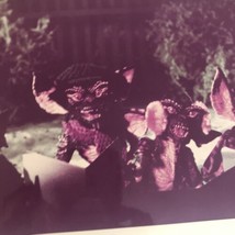 Gremlins 8x10 Vintage Publicity Photo - $5.93