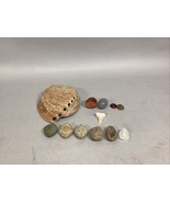 Haliotis Shell, Caradian Stone, Danburite Crystal, Sharks Tooth &amp; 8 M - $34.64