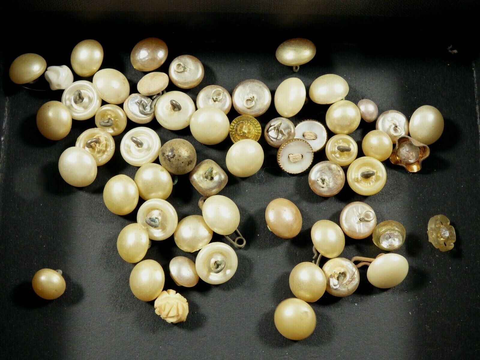 VTG Antique lot of 50 pc White Creme Pearl Faux Sewing Buttons  - $25.74