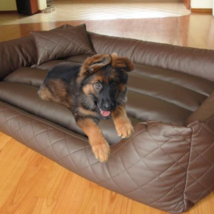 Genuine handmade Pet leather bed cover for cats and dogs Floor Cushion Cover 3 - £102.84 GBP+