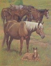 A Time To Rest - Limited Edition Print by CAA Artist Wayne Baize - Horses and Co - £78.18 GBP