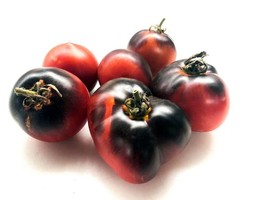 Indigo Apple Tomato 12 Seeds New Fresh - $8.97