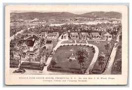 Birds Eye View Woods Pine Grove House Phoenicia New York NY UNP DB Postcard V14 - £15.28 GBP