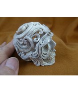 (SKULL-W52) Large white full skeleton Skull figurine Bali antler crafted... - $337.00 CAD