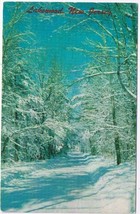 New Jersey Postcard Lakewood Snowfall On Country Road - $2.96