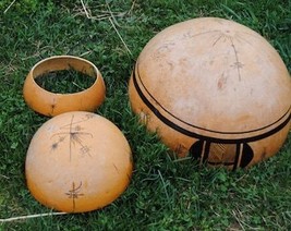 8 Giant African Bushel Gourd Seeds Fresh Gardening Usa Seller - $7.48