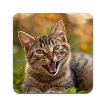2 PCS Laughing Cat Coasters - £11.89 GBP