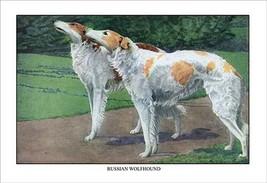 Russian Wolfhound - £15.70 GBP
